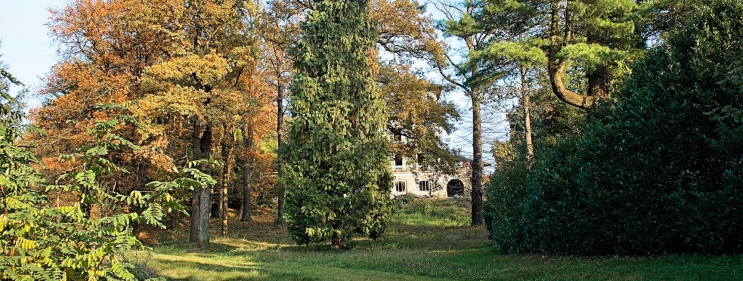 Pubblici Giardini